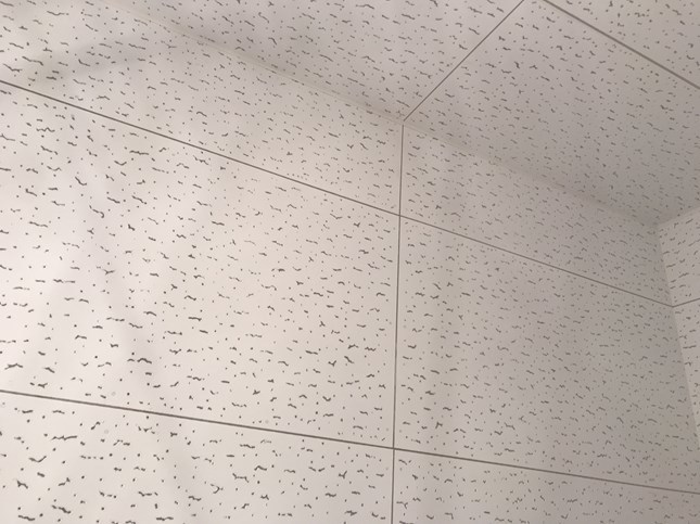 c0223331_14550505.jpg
