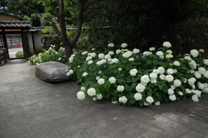 f0229832_09145194.jpg