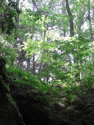 a0163738_21271766.jpg