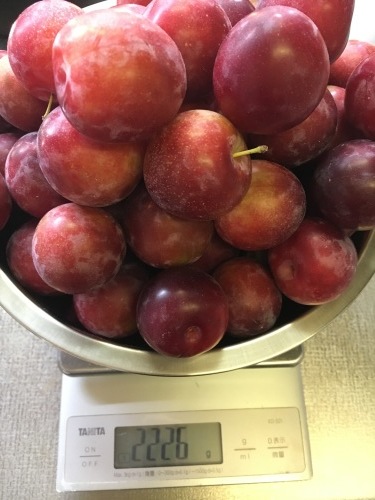 季節の果物 季節だけど缶詰な果物_b0346442_00313445.jpeg