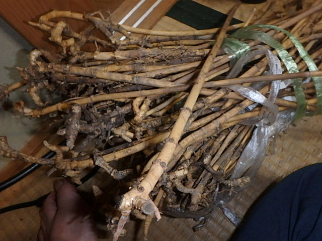 f0334143_2217298.jpg