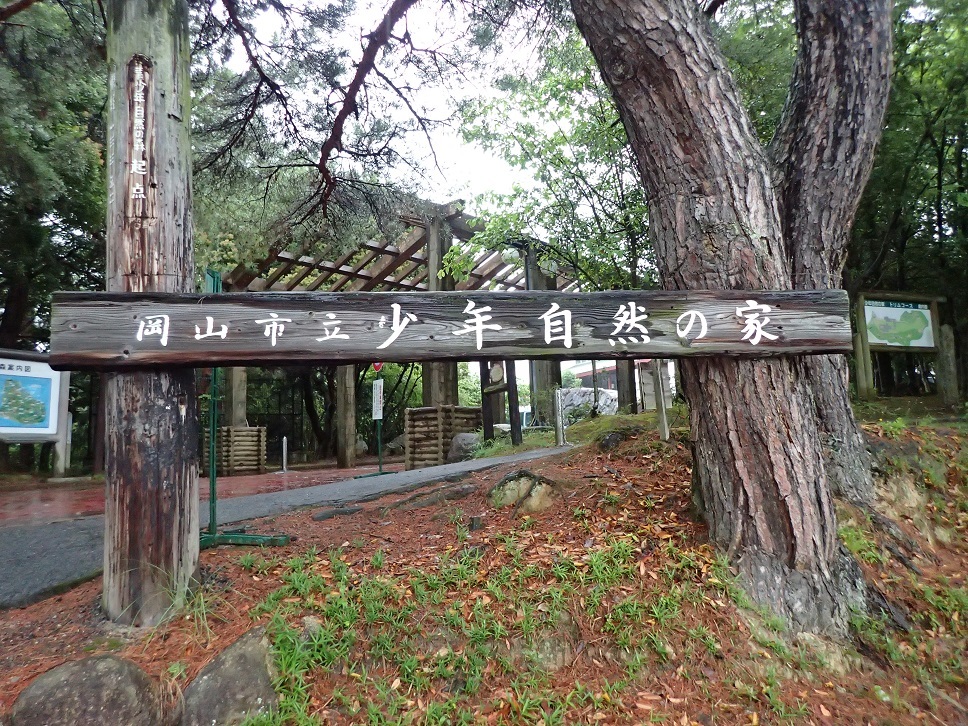 e0128144_05125000.jpg