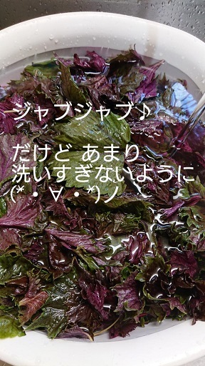 f0128146_13365553.jpg
