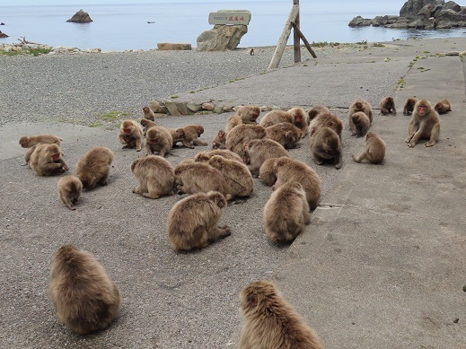 伊豆半島東西ドライヴ旅行_b0154148_14311241.jpg