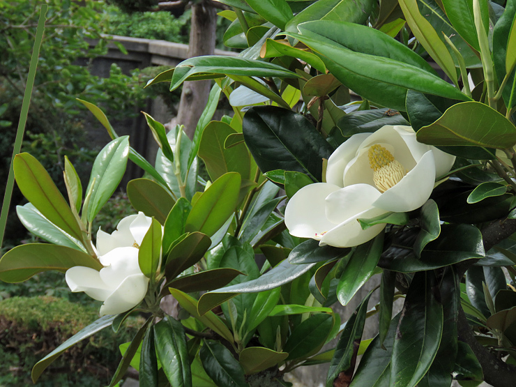 f0214649_03371018.jpg