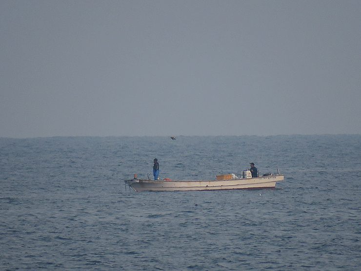 f0214649_03582735.jpg