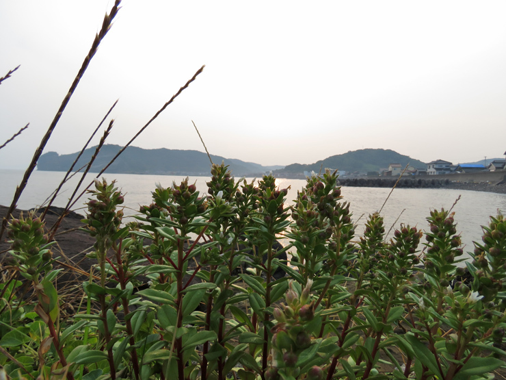 f0214649_04052867.jpg