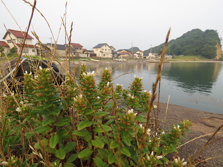 f0214649_04054990.jpg