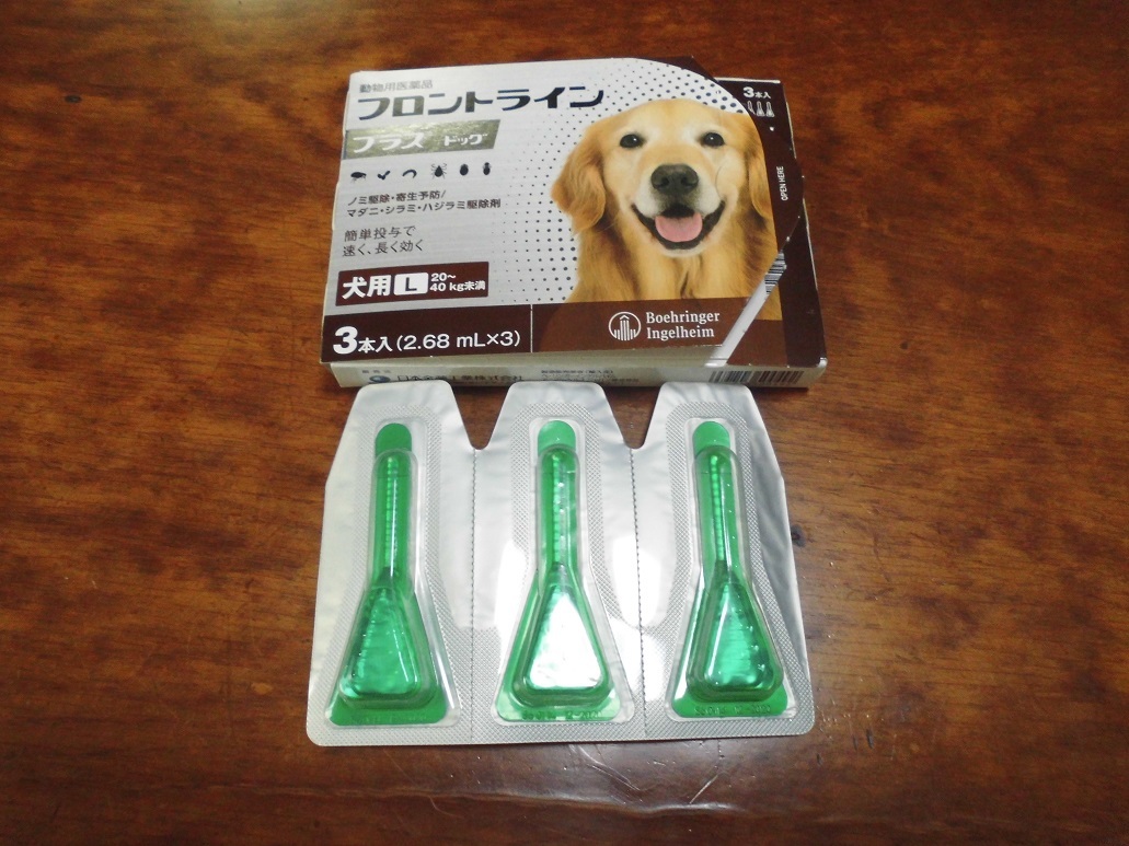 ノミ取り薬投与 ティアティア ティアラ わんこカール ノミ取り薬投与 ティアティア ティアラ わんこカール