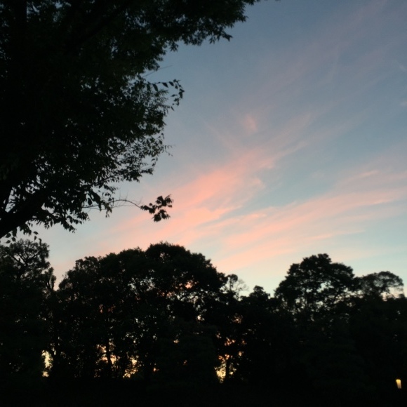 c0113755_17215588.jpg