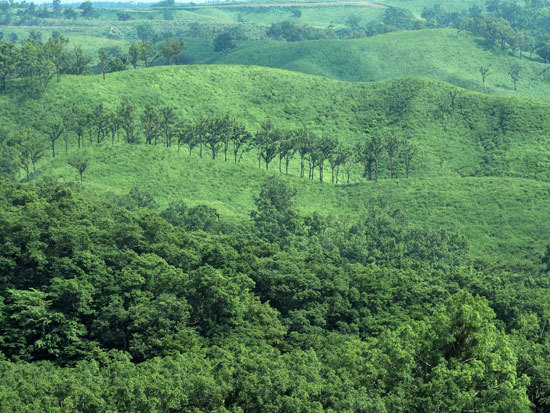 b0016557_12411310.jpg