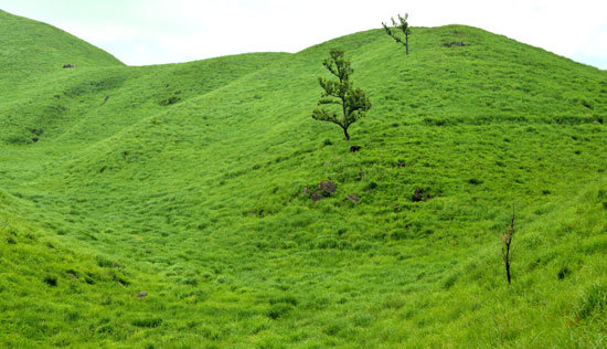 b0016557_12414385.jpg