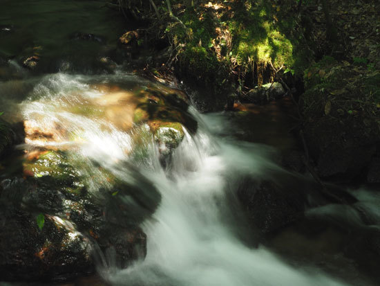 b0016557_12421470.jpg