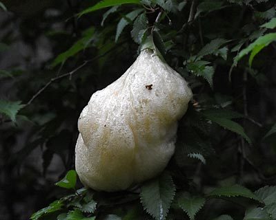 e0035757_17022624.jpg