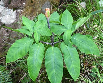e0035757_17033151.jpg