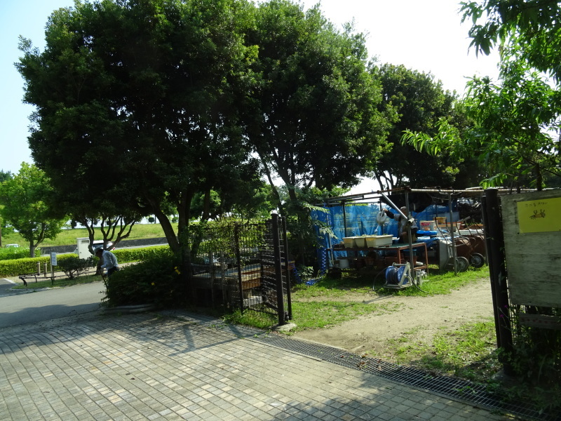 c0108460_19345903.jpg