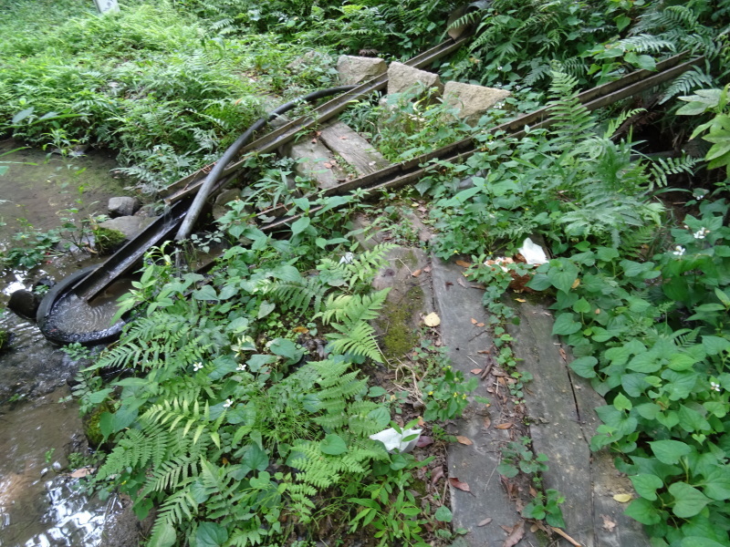 c0108460_19361721.jpg