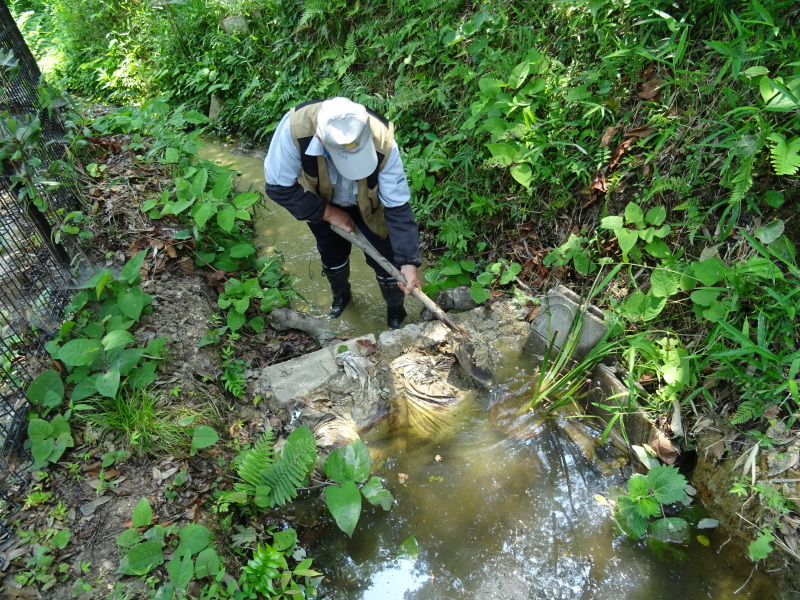 c0108460_19460486.jpg
