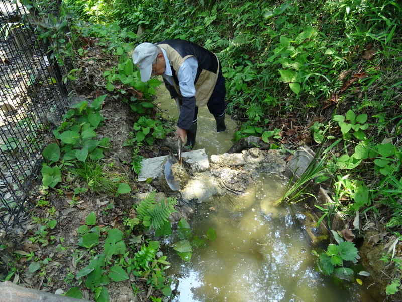 c0108460_19460548.jpg
