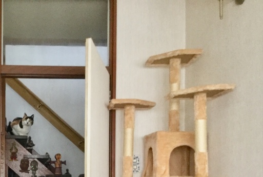 a0053063_10120996.jpeg