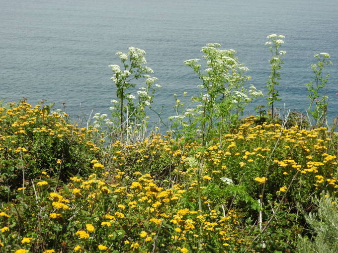 c0115366_07282943.jpg