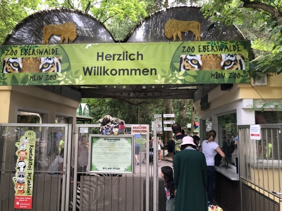 d0259967_14290483.jpeg