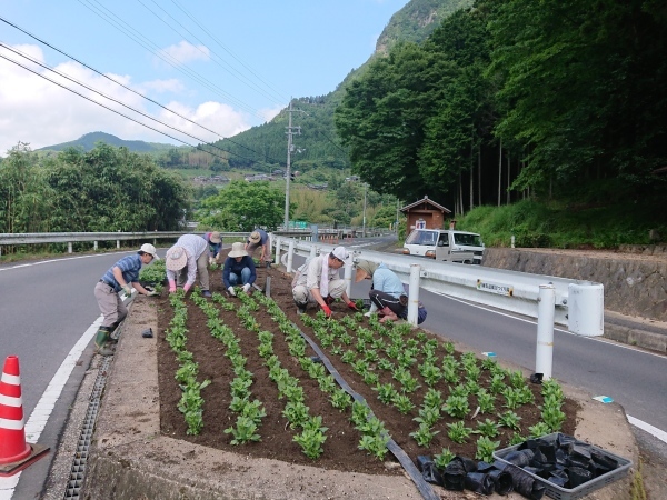 2019/6/22　花街道づくり_a0277170_11453534.jpg