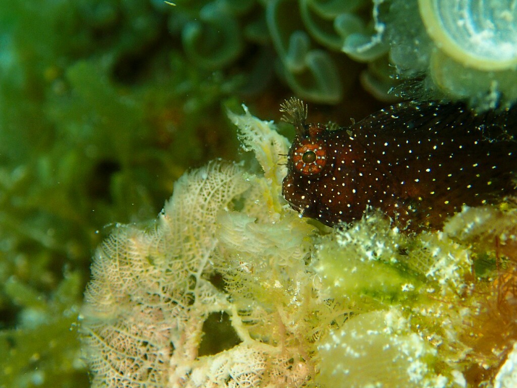 d0363174_22595957.jpg