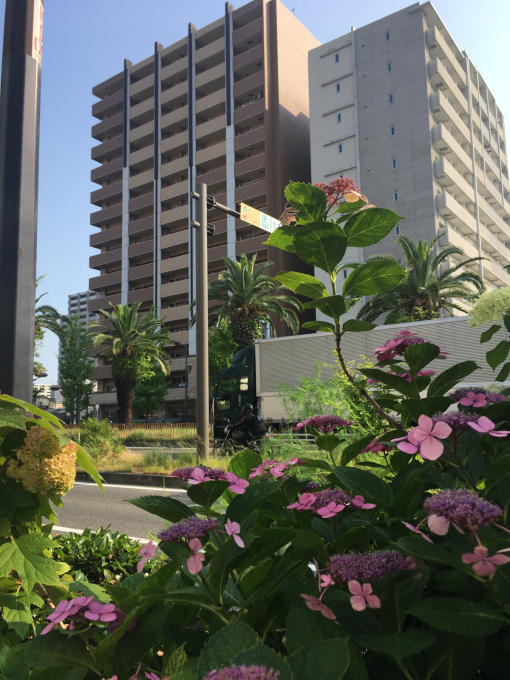 おてんとＳＵＮ_f0152875_08380972.jpg