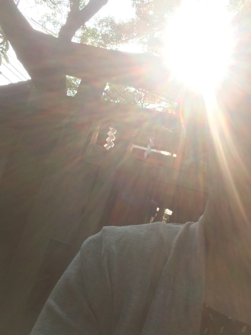 おてんとＳＵＮ_f0152875_08381925.jpg