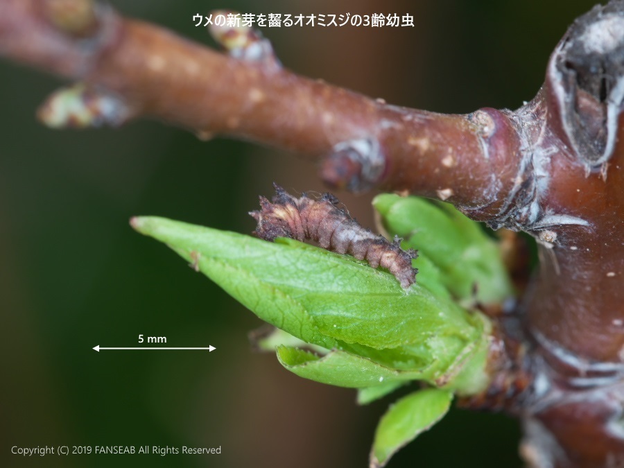 f0090680_20141275.jpg