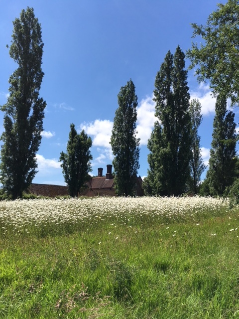 d0349081_17541268.jpg