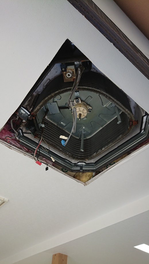 f0172281_6541577.jpg
