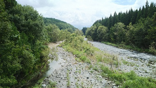 e0020682_155318.jpg