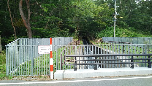 e0020682_16112814.jpg