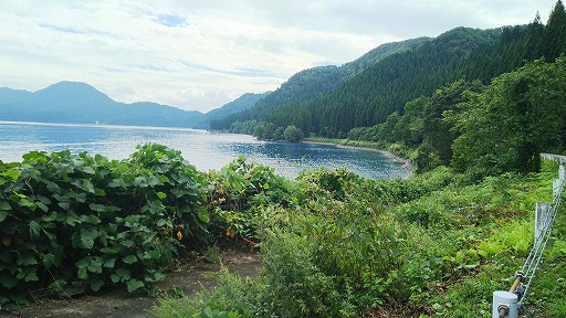 e0020682_16233228.jpg