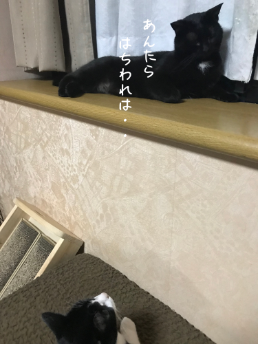 a0216583_23301294.png