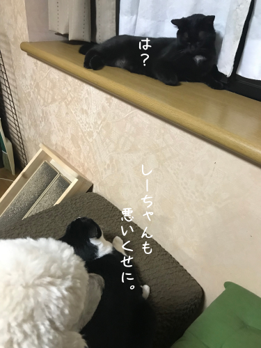 a0216583_23301998.png
