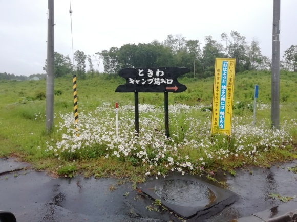c0212083_18051421.jpg