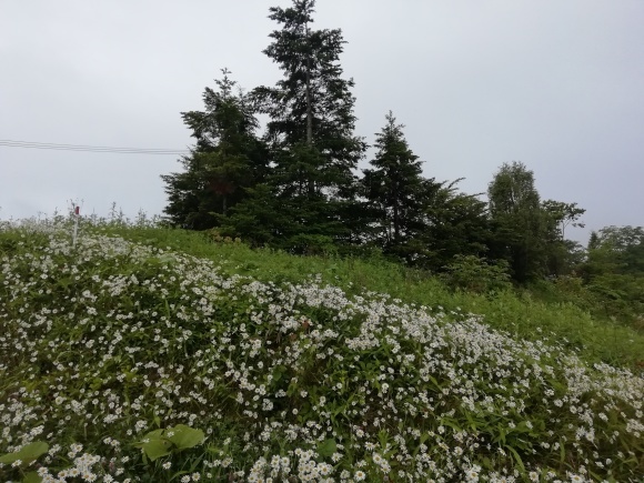 c0212083_18063056.jpg