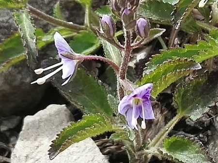 a0261695_08222433.jpg