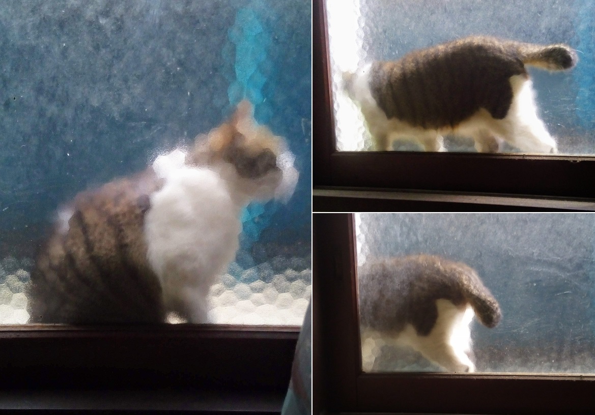 モザイク猫、久し振り_a0057402_22351517.jpg