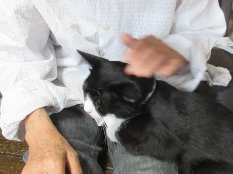 a0203003_10324873.jpg