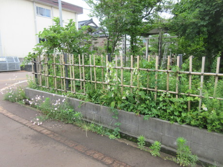 a0203003_10343111.jpg