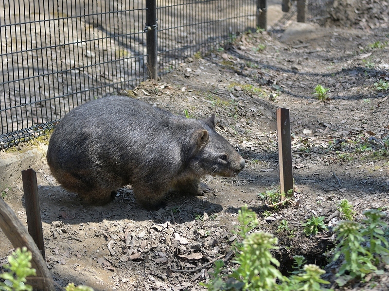 「これは夢だ」と夢の中_a0164204_13145032.jpg