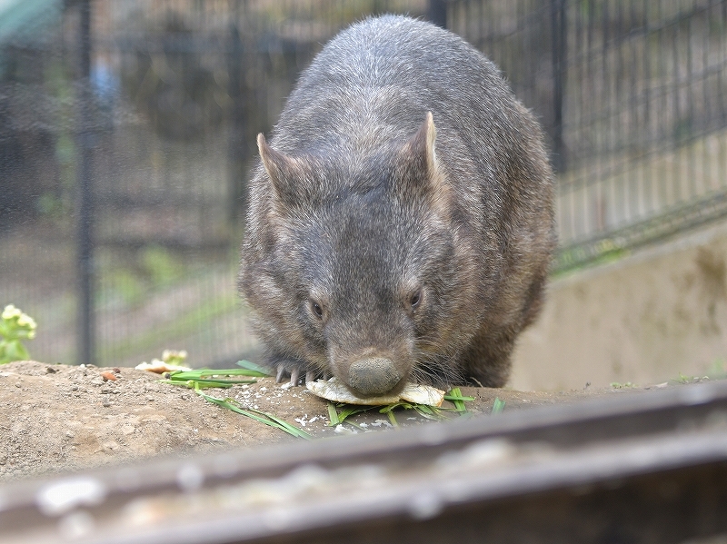 「これは夢だ」と夢の中_a0164204_13423948.jpg