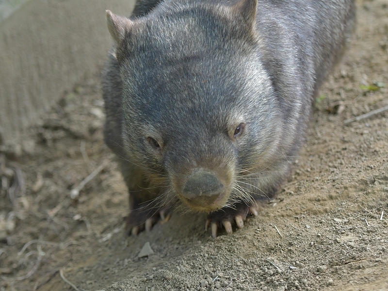 「これは夢だ」と夢の中_a0164204_13522800.jpg