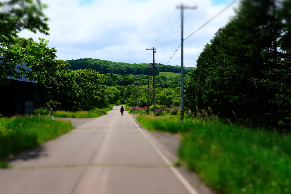 d0051707_17322327.jpg