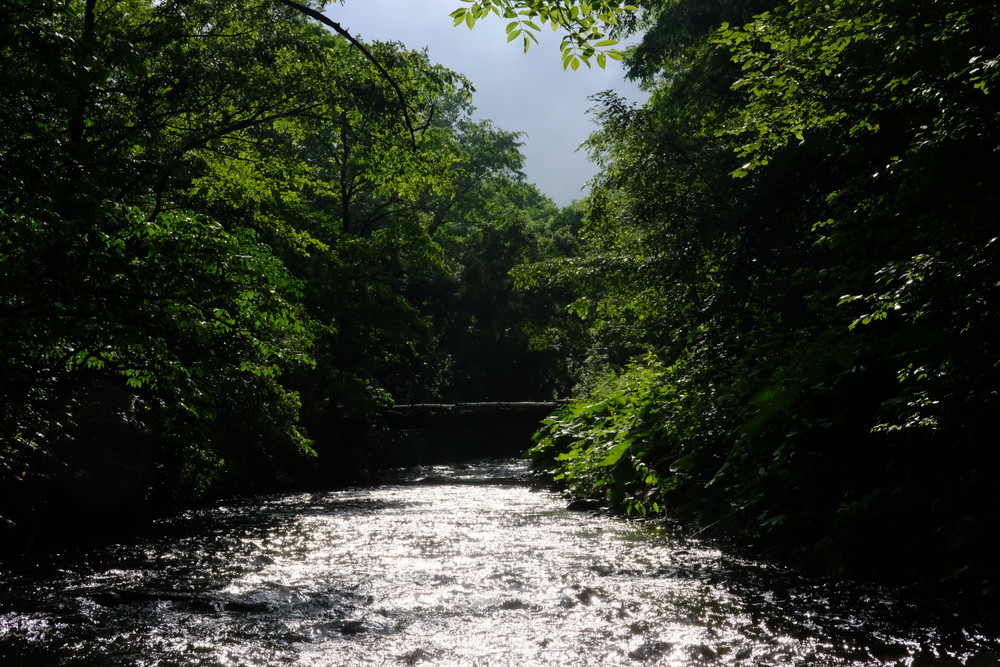d0051707_17322332.jpg