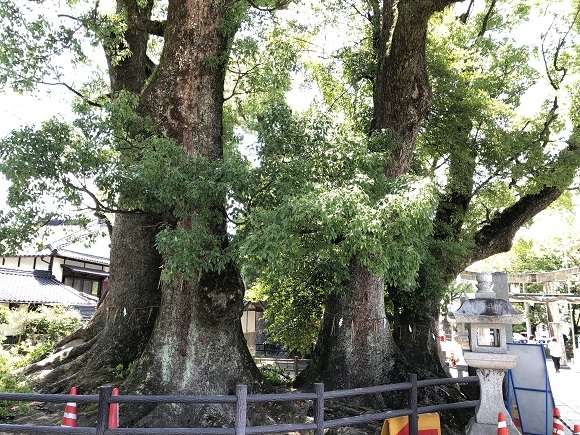 春日神社（福岡県春日市春日）_f0364707_16022318.jpg